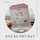 pet37너4060 | [반려견과 제주여행] 반려견 동반 기내 탑승기(✈️티웨이항공)
