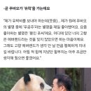 강바오 푸바오 최애 별명 바뀜 이미지