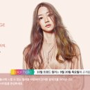 헤어홀릭 이미지