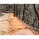 해피로드2 이미지