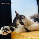 영진건강원 - 제천시 용두천로 73-3 | 영진건강원