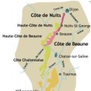 [슥쳐다보는 간단 와인 이야기] 1st. Cote de Nuits &amp; Cote de Beaune _ 부르고뉴 양대산맥 이미지