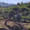 해림농장 이미지