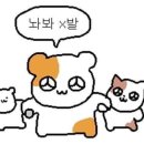 퍼피랜드 애견카페 이미지