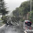 주암(순천)1_주암(순천)휴게소_#1 이미지
