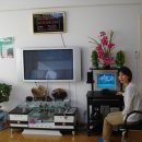 천일민박 이미지