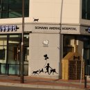 풍동동물병원 이미지