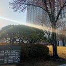법률사무소로진 이미지
