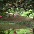 창평농장 이미지