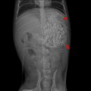 사랑우리애동물병원 이미지