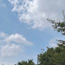 한산모시짜기 | [일본] 오사카 3일차 : 오사카 엑스포