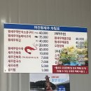여진왕새우