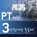 아나토미 스트랭스 네이버블로그