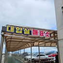 2020-830 | 완도 화흥포항에서 노화도까지 섬 여행 배편 여객선탑승 후기