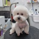 뚜니살롱 이미지