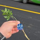 자연테크 | [공지] 강원도 삼척 사무실 바닥난방 전기온돌일체형강화마루판넬 자연마루테크 구들 제품 시공 후기