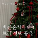 [ 서산 치과 ] 환자분 요청!! 서산 바른손치과의원의 트리 정보를 공유해 드립니다. (Feat.TMA 트리)