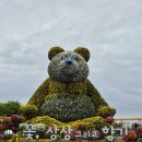 신일교통노동조합 | 일산호수공원