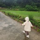 두명마을자연체험촌 | 기장 두명마을 자연체험촌 생태체험 비 오는 날 아이와 산책
