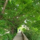 비산 빗물펌프장 이미지