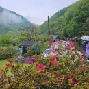 담아내기 이미지