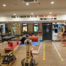 스파리스 이미지