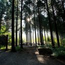 축령산 백련동(추암) 이미지