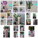 주식회사 스마트이 이미지