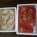 대구대학교 영덕연수원 | 대구대학교 영덕연수원 이용후기