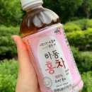 일송제다 이미지