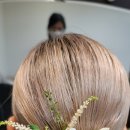 이모텍스