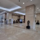 마추피추애견블랙 이미지