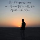 강성정보통신 | 26년 7월 이야기, 20일은 산초나무가 작은 꽃들을 다복하게 달고서도 모진 장맛비 다 이겨내고 있으니...