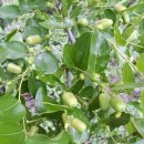 산외농장 이미지