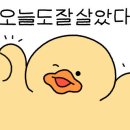키므안나 이미지