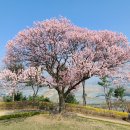 투에스테크 네이버블로그