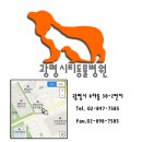 광명시티동물병원 이미지