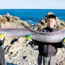 수산1리마을회관 이미지