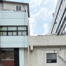 늘봄약국 | 동대문종합시장 원단 가게 처음 방문한 후기