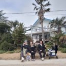 제주 비양도 호니토 | 강아지랑 당일치기 비양도 후기 (중형견)