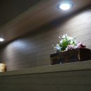 성실스포츠마사지