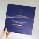 홈스테틱앰플 엘란폴 글란츠 리커버리 솔루션 키트 일주일 사용 후기