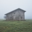 용춘 이미지