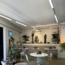 솥밥예찬 이미지