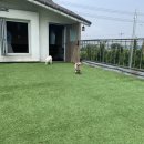 몽썸 이미지