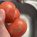 부전농수산물새벽시장 이미지