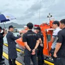 완도6호 이미지