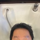 배곧바버샵 찐 만족한 마르티노 바법샵 후기