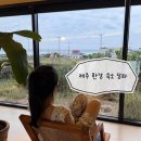 담하 | 제주 서쪽 한경 독채 숙소 자쿠지 오션뷰 담하 에어비앤비 후기