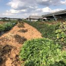 대곡산업 이미지